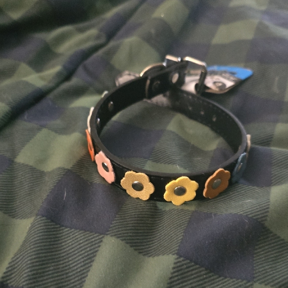 NwT! Colorful Flower Dog Collar BLACK FLORAL  Spring , Wedding Dress.collar